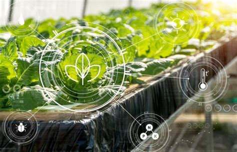 Deep Learning Crop Model 的图像结果