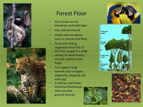 Image result for Database First Normal Sample