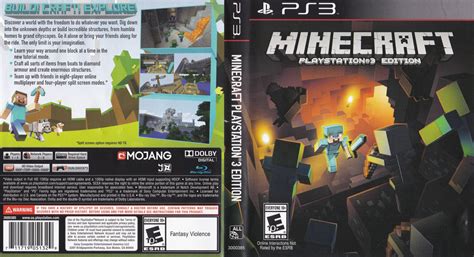 Image result for Minecraft PS3 Edition