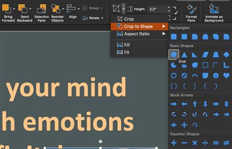 Image result for Create a Row Circle PowerPoint