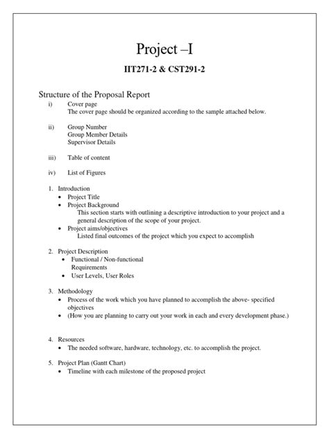 Proposal Report Format 的图像结果
