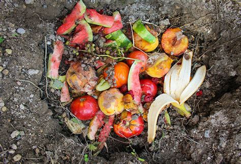 Image result for kitchen waste compost process