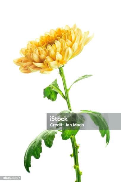 Image result for Resistor Color Code Chart