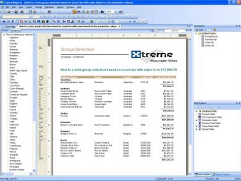 Free Crystal Reports Tutorial 的图像结果