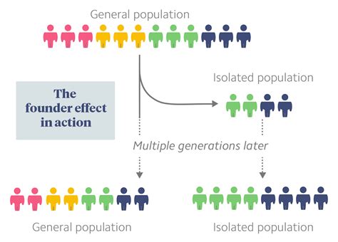Image result for Genotype Example
