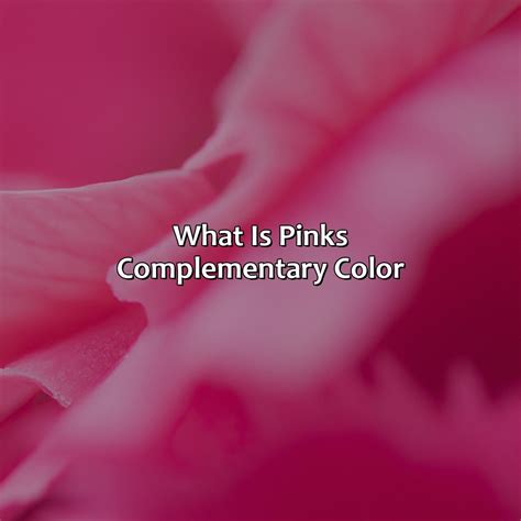 What Is Pink'S Complementary Color - colorscombo.com