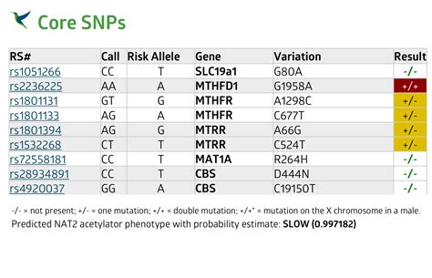 MTHFR Mutation: Start Here to Learn - MTHFR.Net : MTHFR.Net