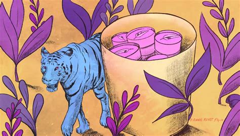 Image result for What Is JavaScript Sued for Mostly