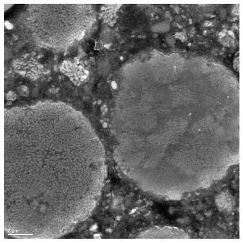 Development of Sustainable Cold Spray Coatings and 3D Additive ...