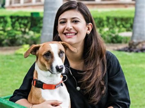 Pet care brand Heads Up For Tails gets $37 million in Series A funding ...