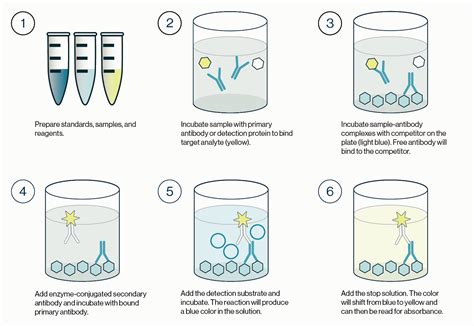Image result for Competitive ELISA Protocol