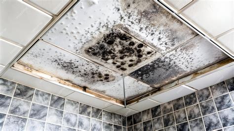 What Causes Black Mold On Bathroom Ceiling