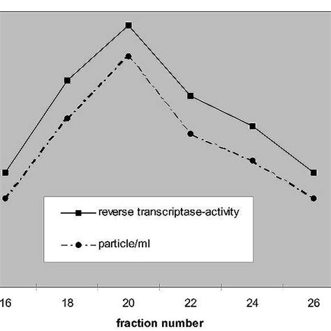 Image result for Reverse transcriptase function