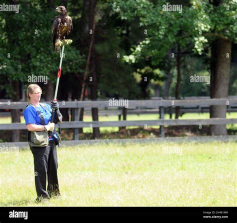 Dr. Joni Gnyp, a veterinarian at Rocky Point Animal Hospital and ...