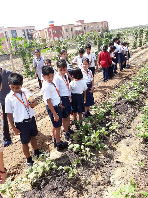 MADE EASY SCHOOL Photo Gallery