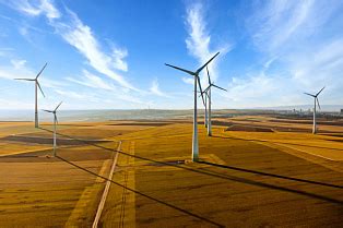 Simulation Project 的图像结果