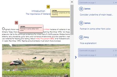 Image result for JavaScript PDF Editor