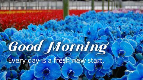 English Good Morning & Good Night Wishes - App on Amazon Appstore