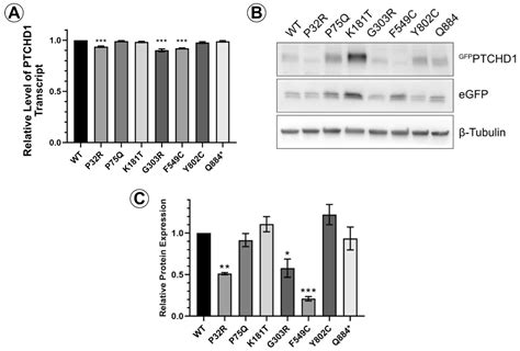 Nonsynonymous Mutations in Intellectual Disability and Autism Spectrum ...