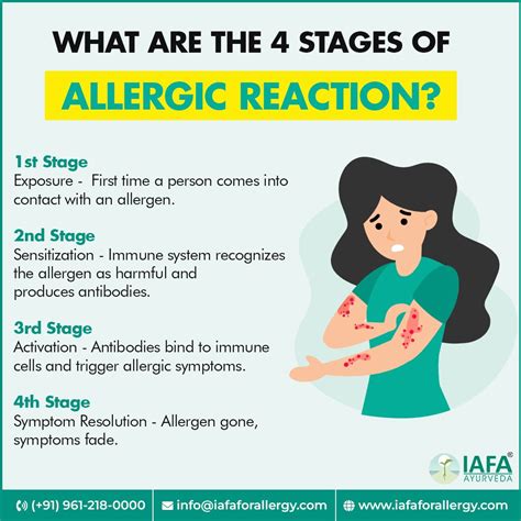 What Are the 4 Stages of Allergic Reaction? | Allergy treatment, How to ...