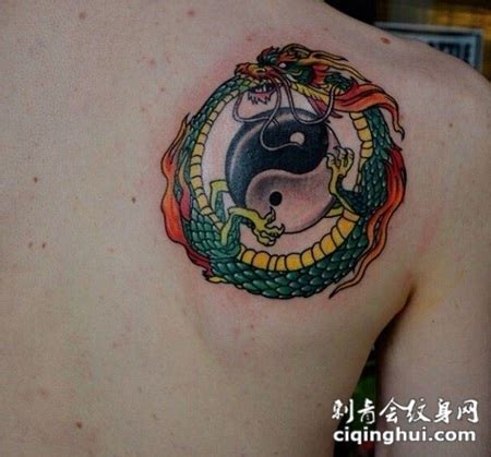 中国传统彩绘龙阴阳八卦背部纹身图案(图片编号:149015)_纹身图片 - 刺青会