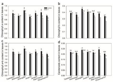 Identification and Characterization of Wheat Germplasm for Salt Tolerance