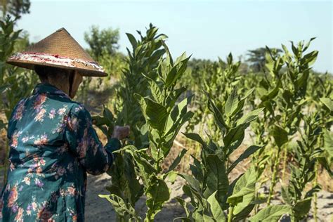 Tiga Cafe dengan Ruang Bebas Asap Rokok