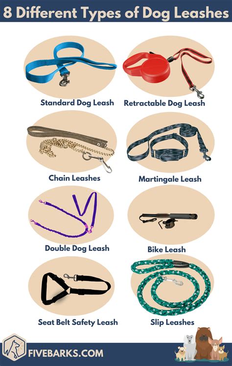 8 Types of Dog Leashes & How to Choose the Best One
