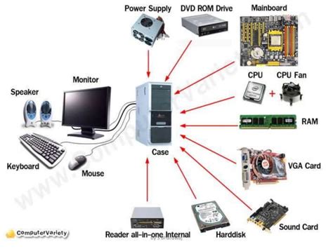 Computer Software Introduction 的图像结果