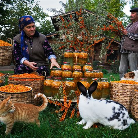 Aziza Ramikhanova (@country_life_vlog) • Instagram photos and videos