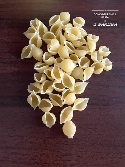 Image result for Types of Pasta Shells