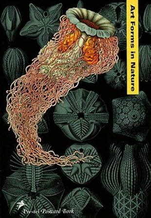 Buy Pcb Art Forms in Nature (Prestel Postcard Books S.) Book Online at ...