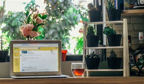 Image result for Create a Domain Email