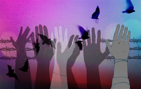 Image result for Draw Direct Democracy