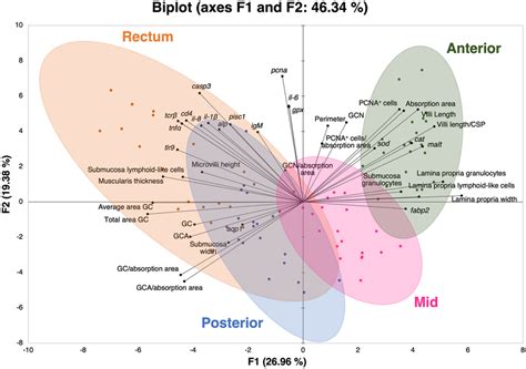 Image result for Interpret Pca Biplot
