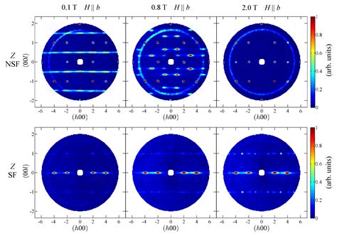 Field-Induced Transitions in Highly Frustrated SrHo2O4