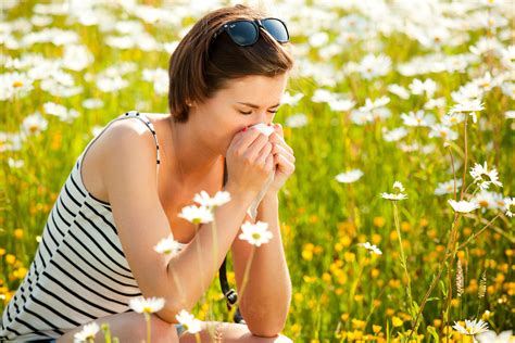 When is hay fever season, what are the symptoms of hay fever and how is ...
