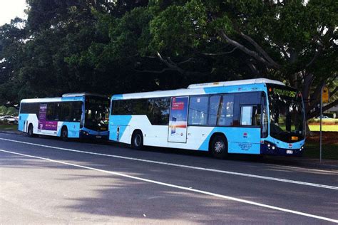 New Year Celebration In Sydney | New Year's Eve In Sydney | TimesTravel