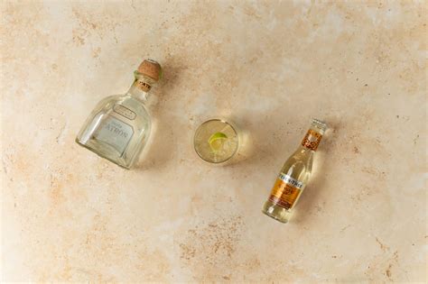 Tequila & Ginger Ale Cocktail Recipe by DrinksWorld