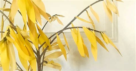 Image result for Paper Leaf