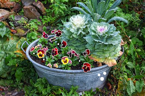 Rezultat imagine pentru Fall Container