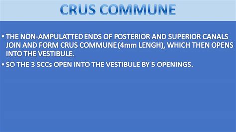 Anatomy Of Inner Ear | Function, Structure & Parts - ASLPclick