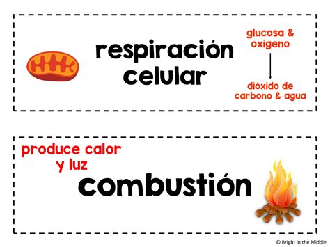 Science In Spanish