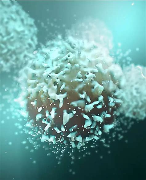 Image result for Cytotoxicity Testing