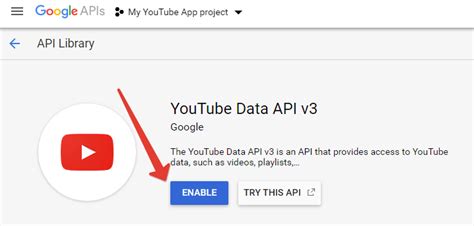 Image result for Ytaddon API Key