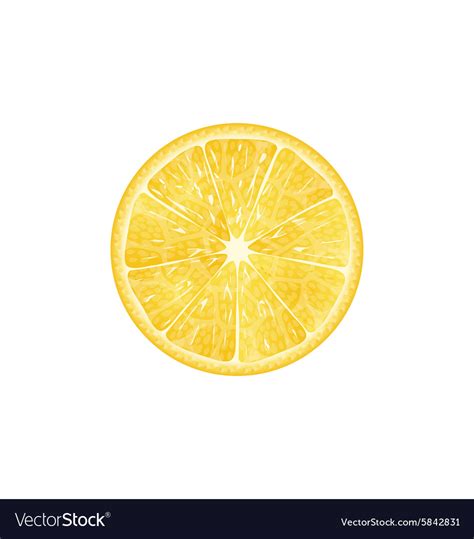 Image result for Lemon Slice Vector