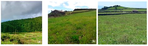 Does Land Management Intensity Influence Pollinator Assemblages and ...