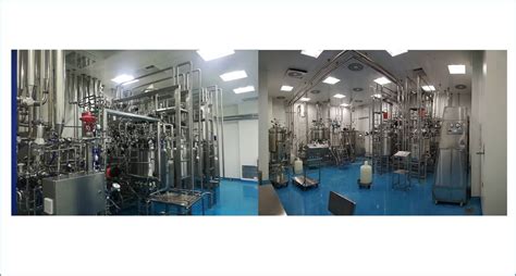 Pasteur Institute of India