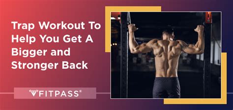 Read Health Blogs, Workout Articles, Diet Plans & Fitness Exercises Tips