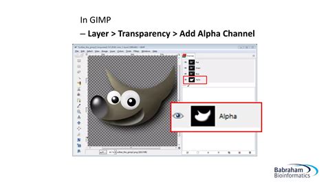 Image result for GIMP Tutorial
